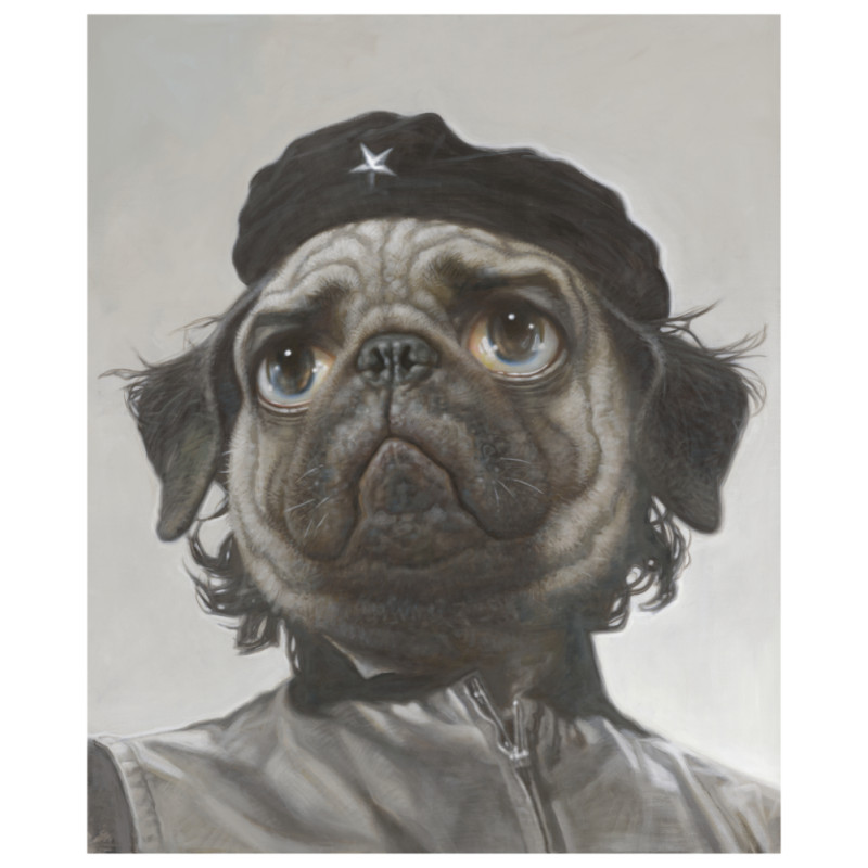 Dog Ernie