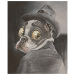 Dog Harold