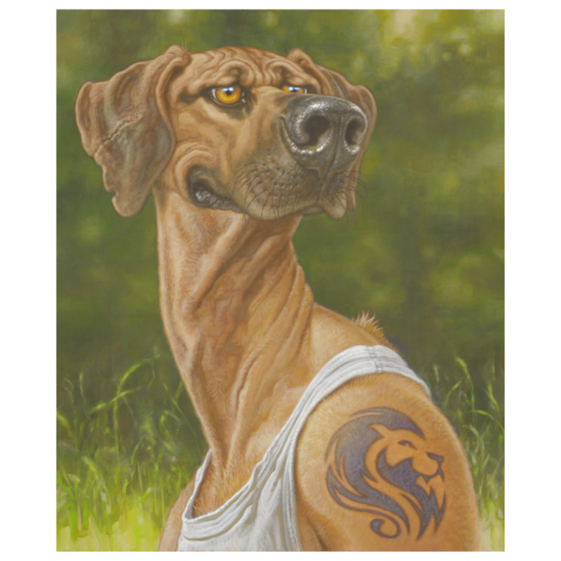 Dog Archie